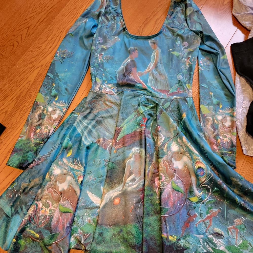 MIDSUMMER LONG SLEEVE SKATER DRESS